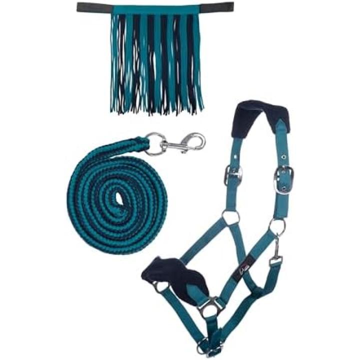 Ontdek de beste halster met draadslot voor jouw paard! - Warmblut WB Full - Petrol/marineblauw
