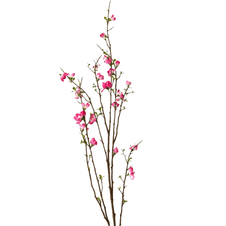Bloesemtak 130cm hoog