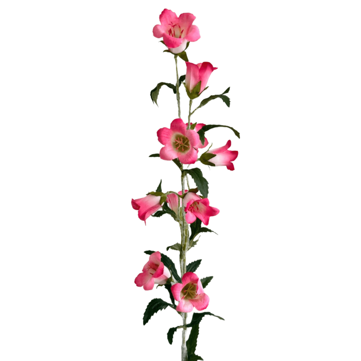 Zijden bloem campanula
