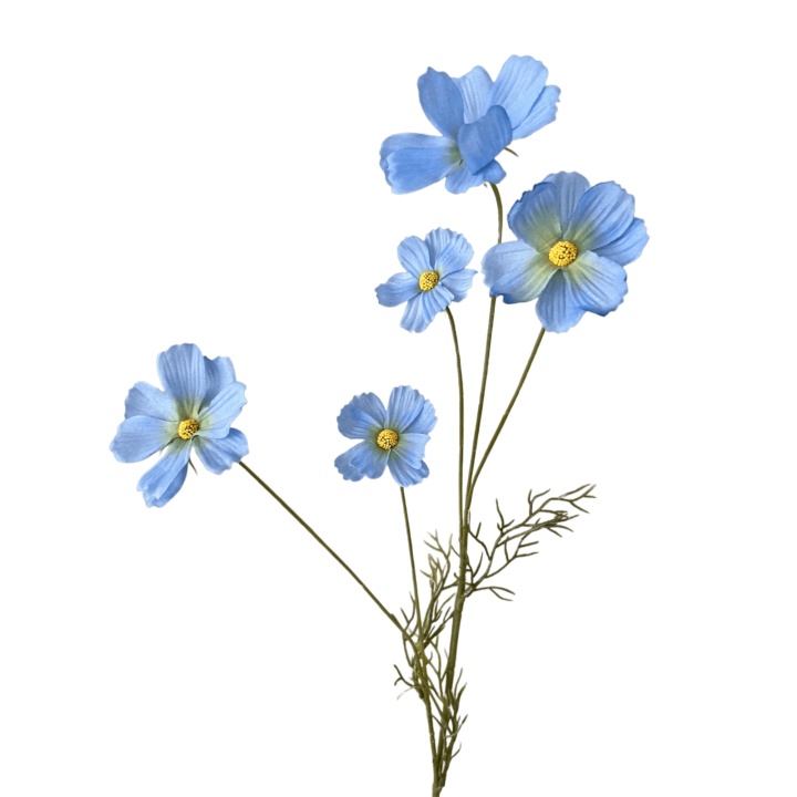 Zijden bloem Cosmea blauw