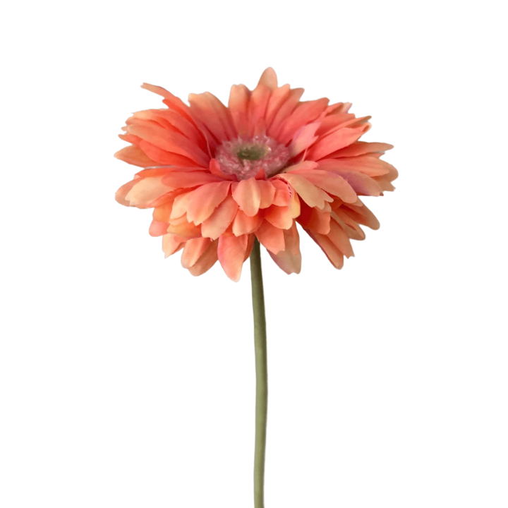 Zijden bloem Gerbera Daisy
