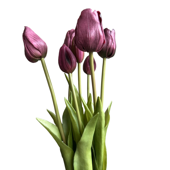 Tulpen bundel met 7 tulpen paars