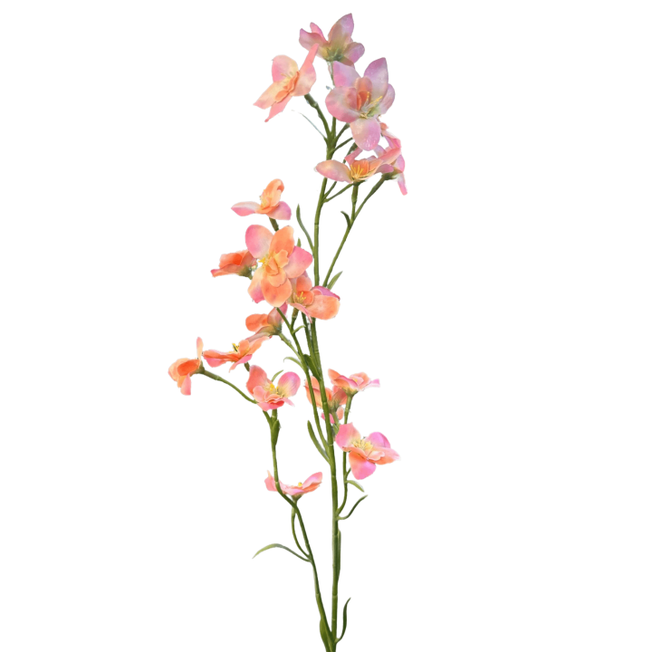 Zijden bloem Ridderspoor