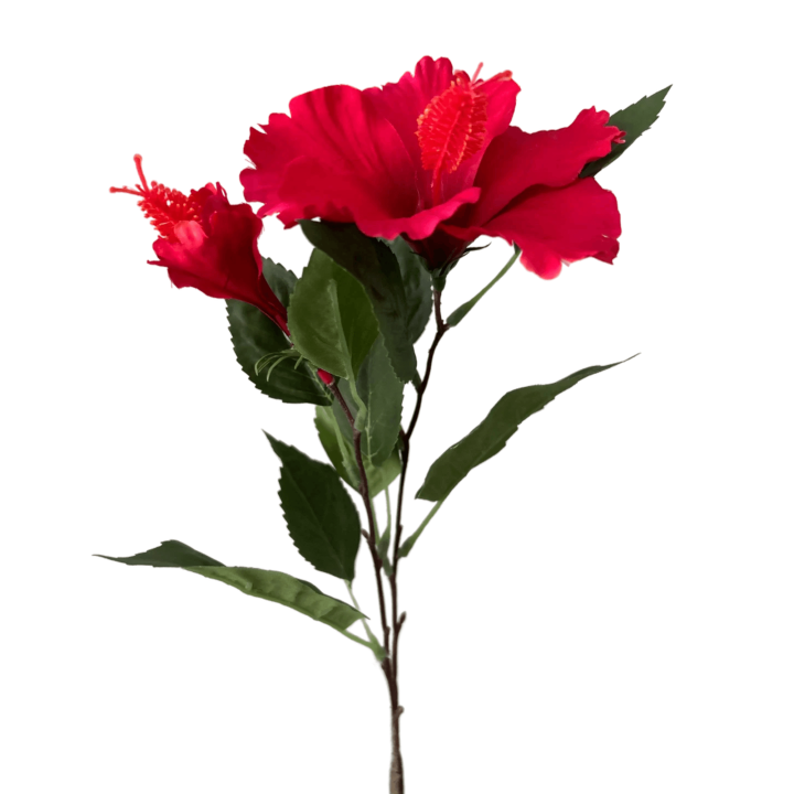 Zijden bloem Hibiscus rood