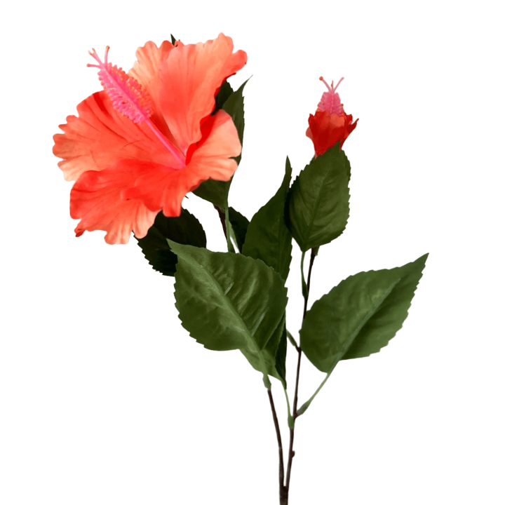 Zijden bloem Hibiscus Peach