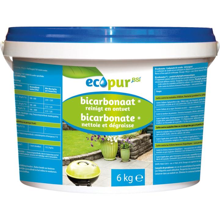 BSI Ecopur Bicarbonaat Fungicide/Antimos | 6 kg