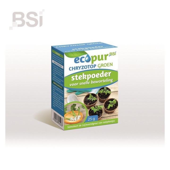 BSI Ecopur Chryzotop Groen Stekpoeder |  25g