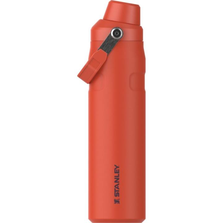 The Aerolight™ Iceflow™ Water Bottle Fast Flow 0.6L / 20oz Thermosfles Tigerlily Plum 600ML