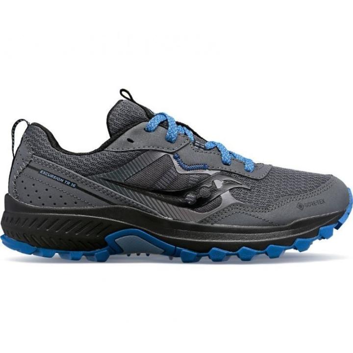 Excursion Tr16 Gtx Hardloopschoen Dames Grey 41