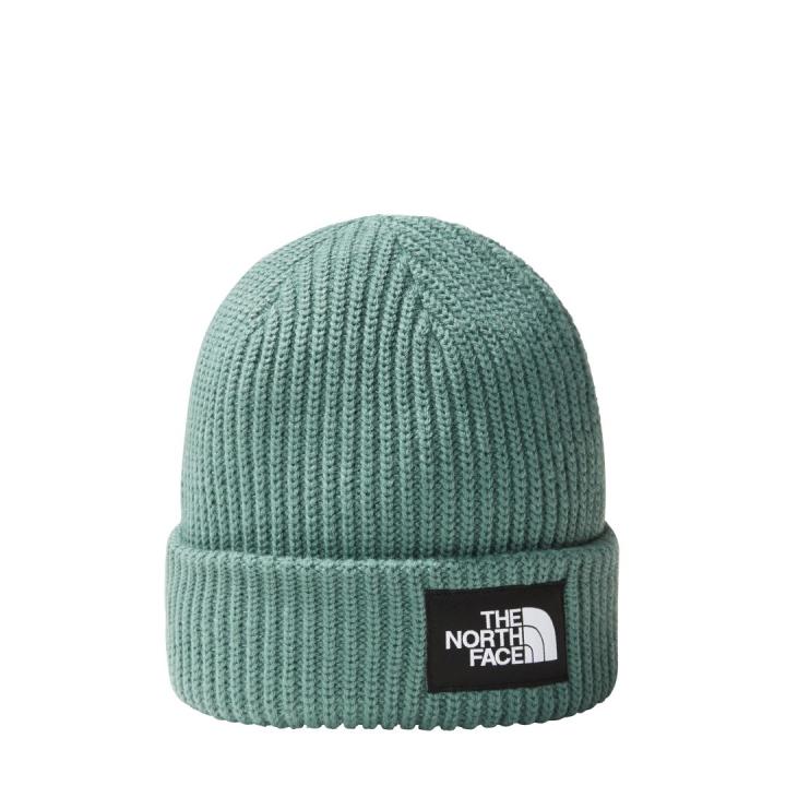 Salty Lined Beanie Muts Heren Dark Sage One Size