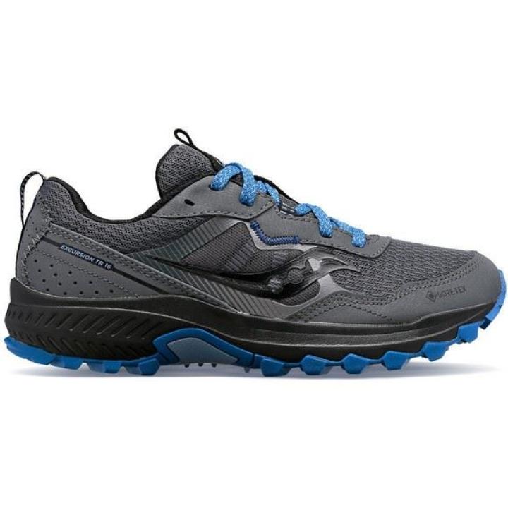 Excursion Tr16 Gtx Hardloopschoen Dames Shadow/Summit 40+