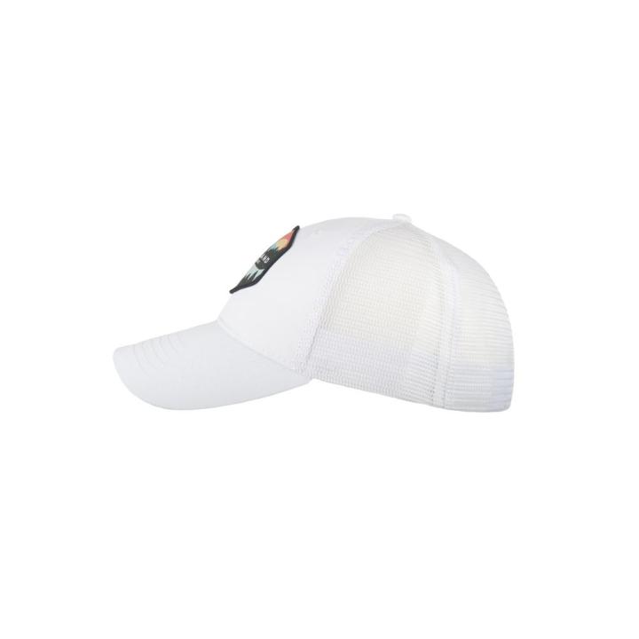 Walt Pet White OSF