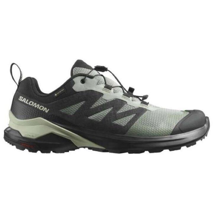 X-Adventure Gtx Heren Lage Wandelschoen Lily Pad/Black/Desert Sage 8