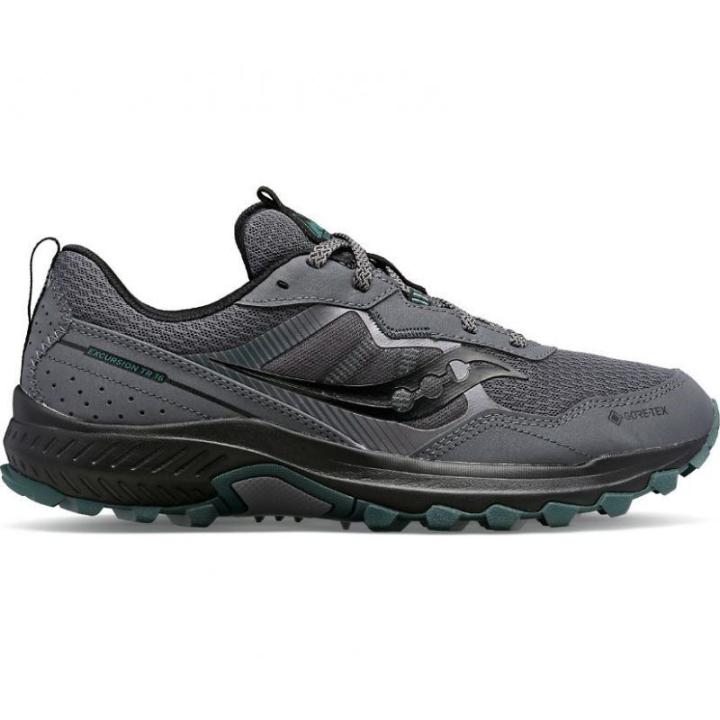 Excursion Tr16 Gtx Hardloopschoen Heren Grey 42+