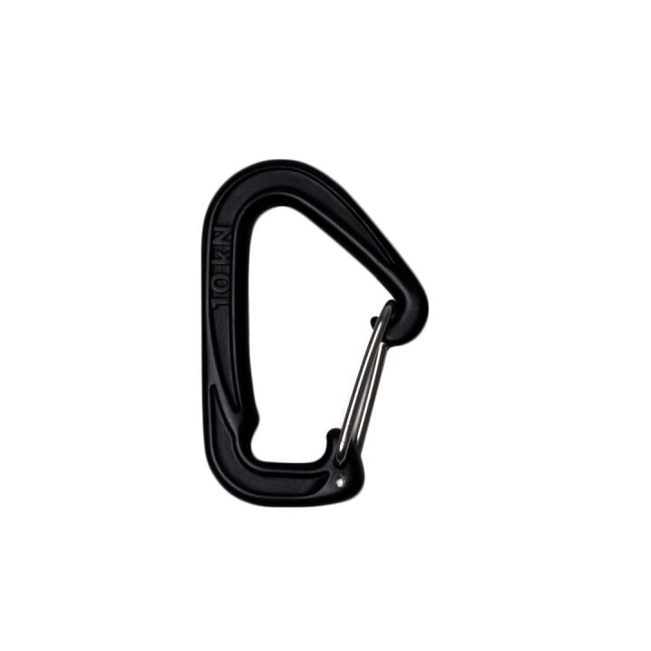 Carabiner 10 Kn (2 X) Carabine