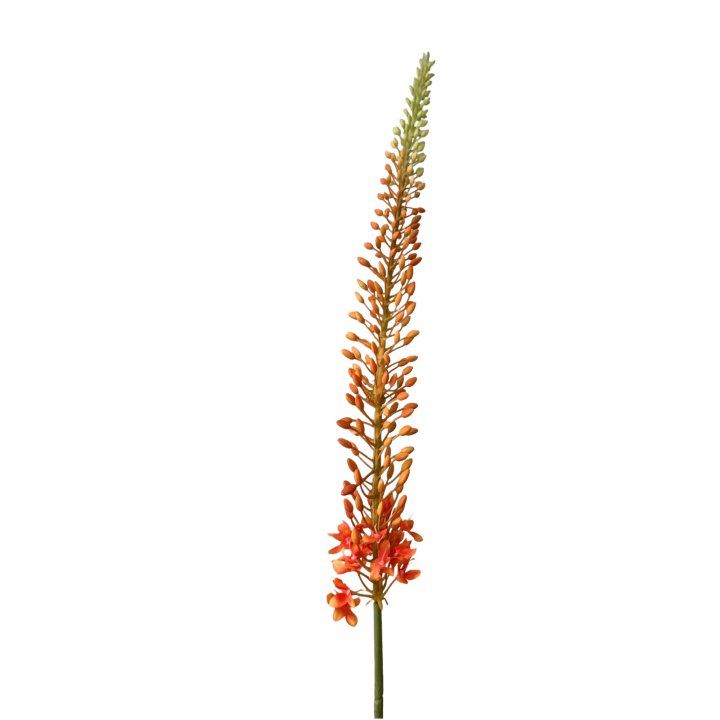 Oranje Eremurus Kunstbloem - 112cm Hoog