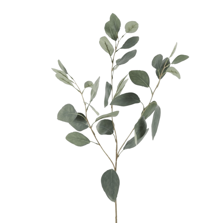 Zijden Eucalyptustak