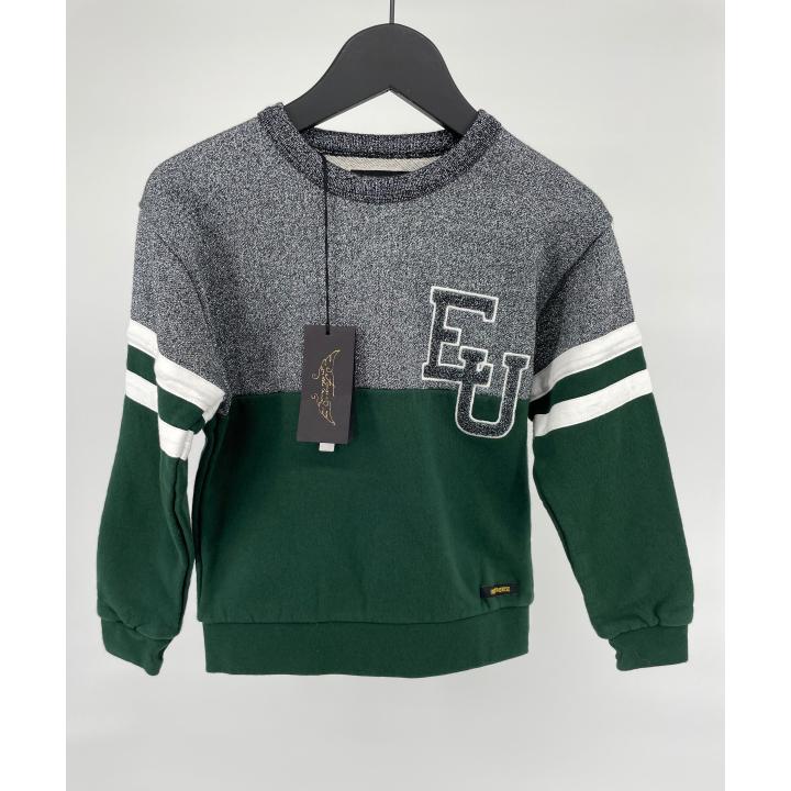 Trui Groen Grijs Glitter EU Maat 122