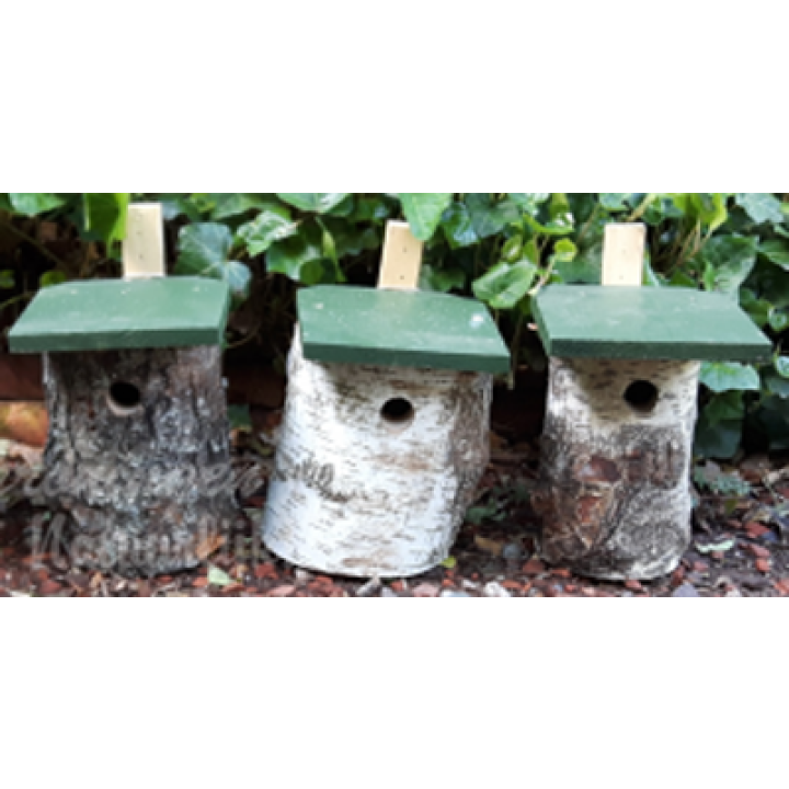 Cj Wildlife Koolmees berken nestkast - Groen/Wit