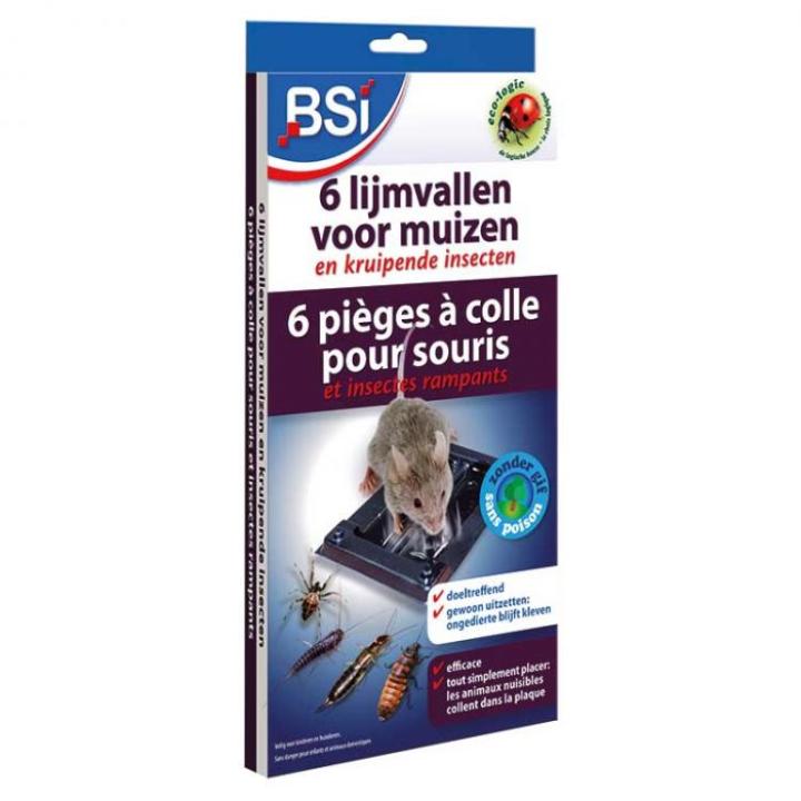 BSI Lijmvallen voor Muizen | 6 stuks
