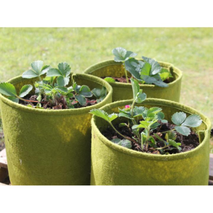 Vigoroot Plantzak 5 liter, 3-pack
