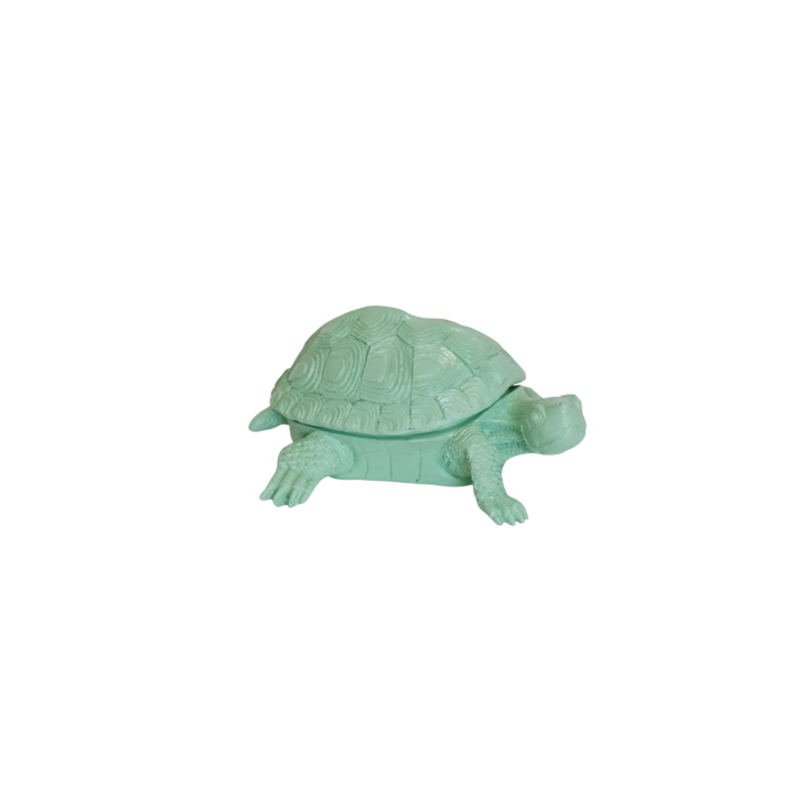 Housevitamin Schildpad Box Mintgroen