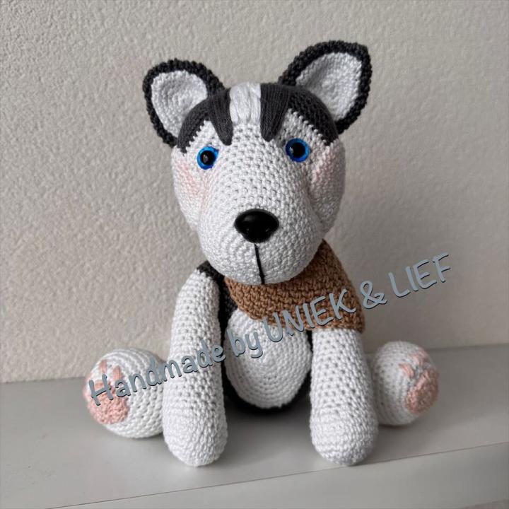 Siberische Husky Rosie met beige zakdoek