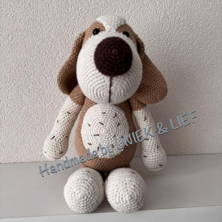 Hond Beagle