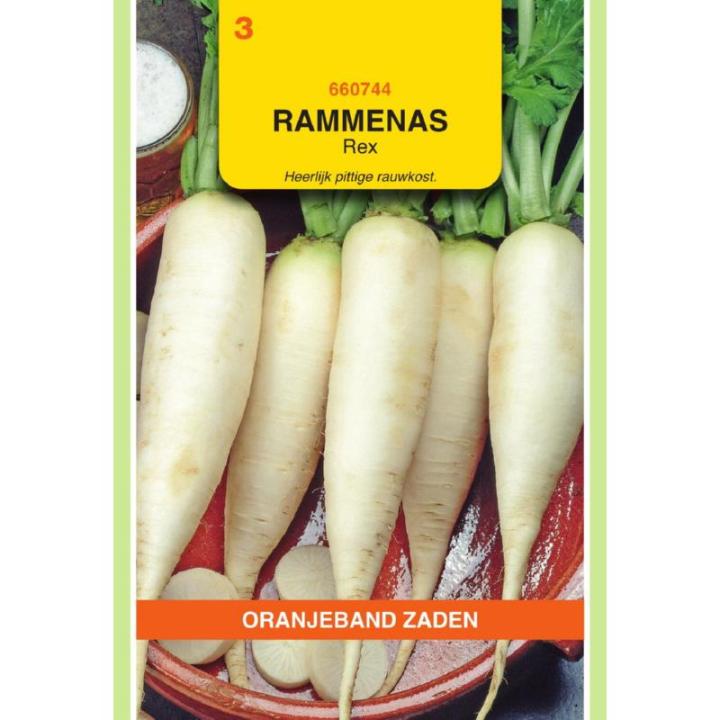 Oranjeband Rammenas Rex