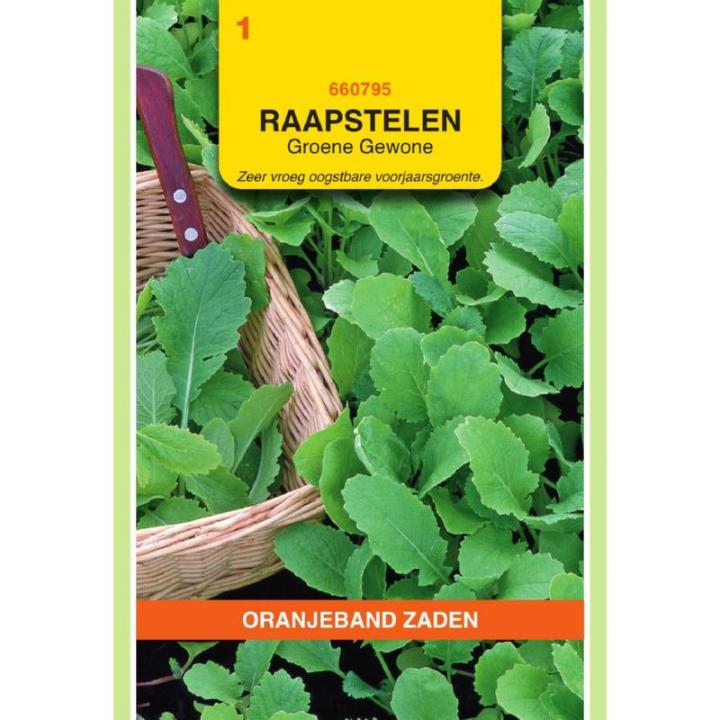 Oranjeband Raapstelen Groene Gewone