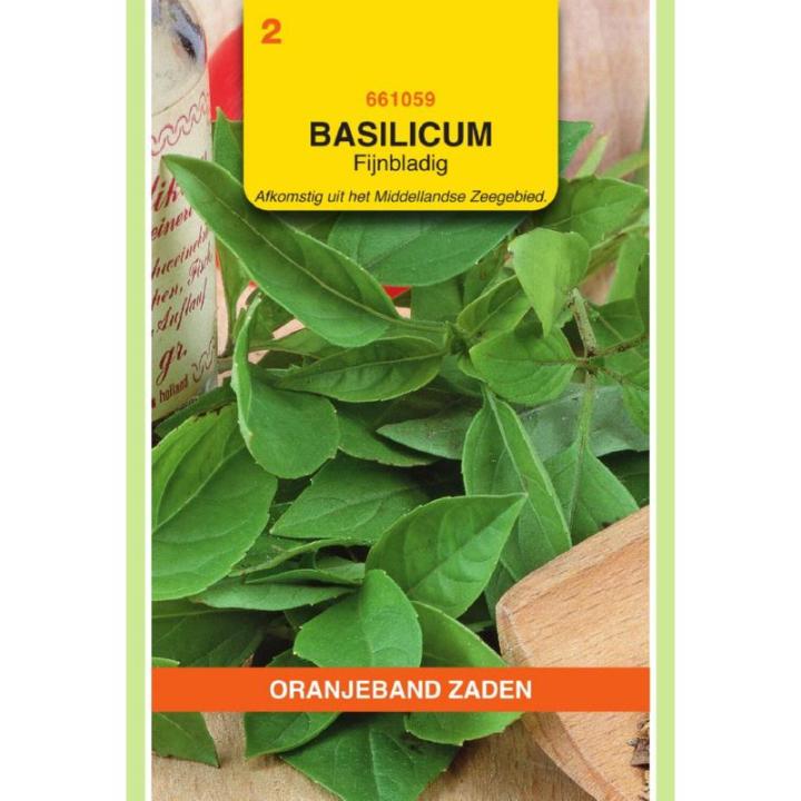 Oranjeband Basilicum Fijnbladig