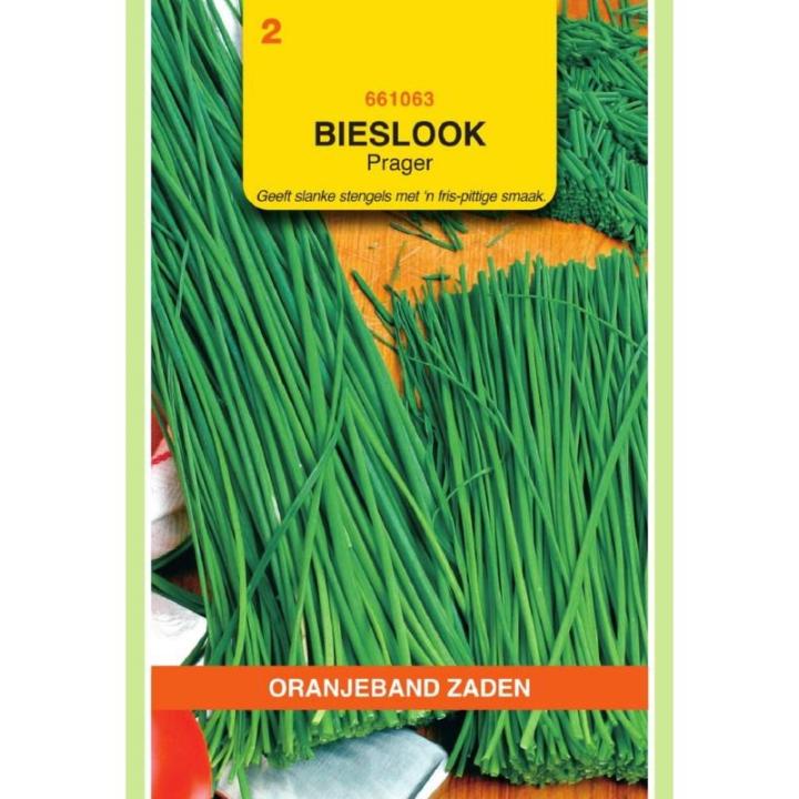 Oranjeband Bieslook Prager (fijne)