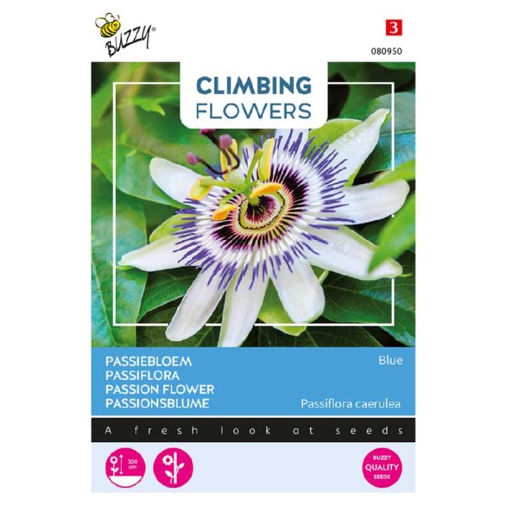 Buzzy Climbing Flowers Passiebloem Blauw
