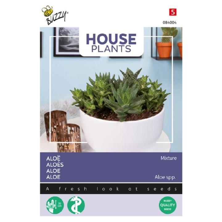 Buzzy House Plants Aloë gemengde soorten