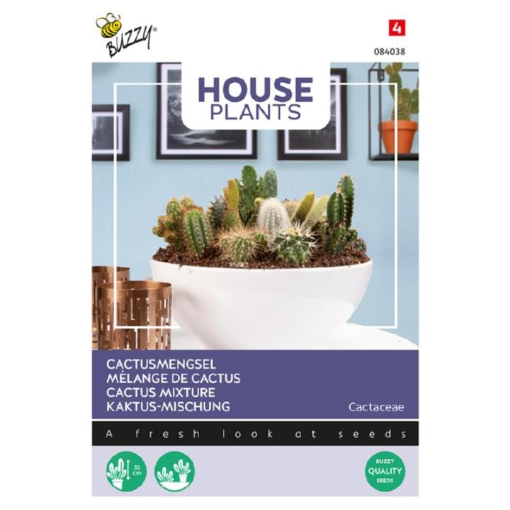 Buzzy House Plants Cactus mengsel