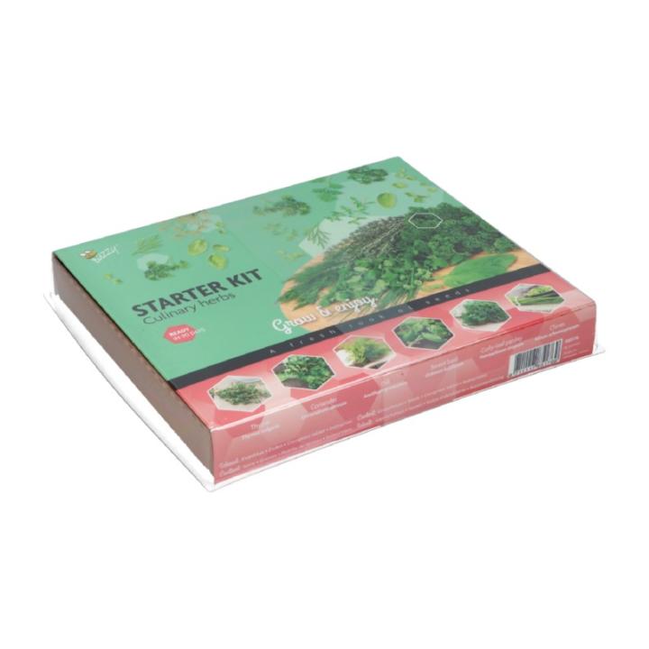 Buzzy Starter kit Culinary Herbs