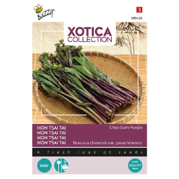 Buzzy Xotica Hon Tsai Tai Choy Sum Purple