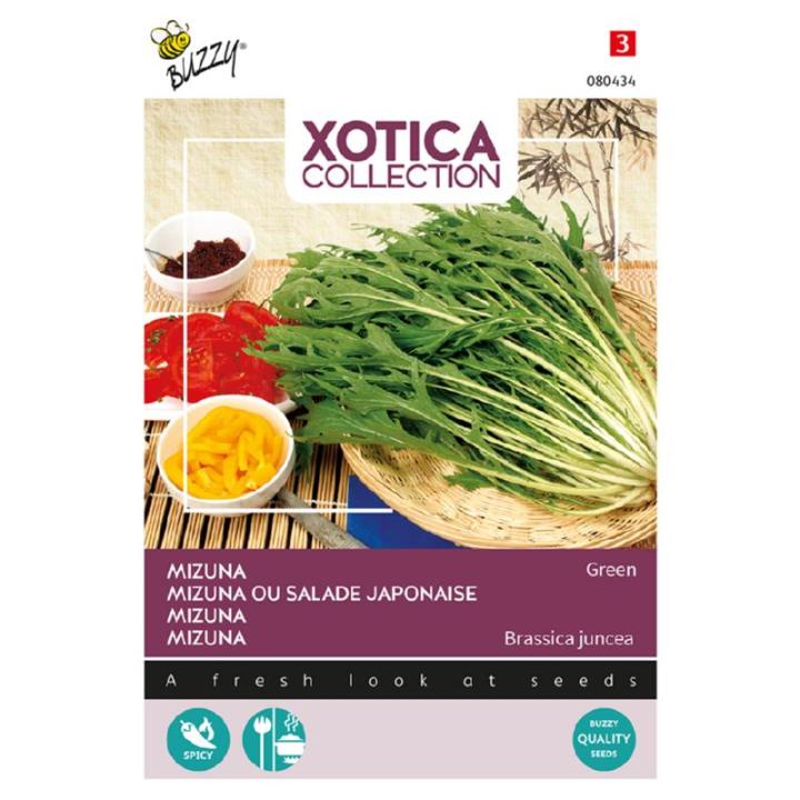 Buzzy Xotica Mizuna Japanse salade