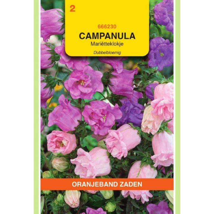 Oranjeband Campanula, Mariëtteklokje dubbelbloemig gemengd