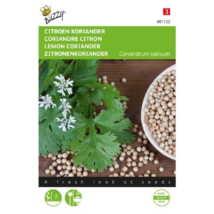 Buzzy Koriander Citroen laag