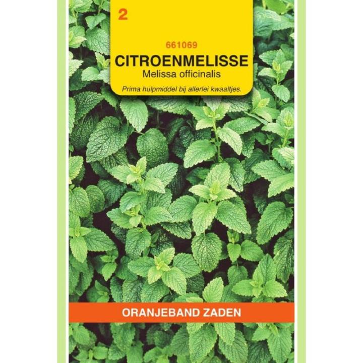 Oranjeband Citroenmelisse