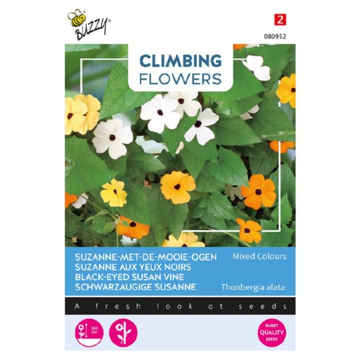 Buzzy® Climbing Flowers Thunbergia, Suzanne-met-de-mooie-ogen