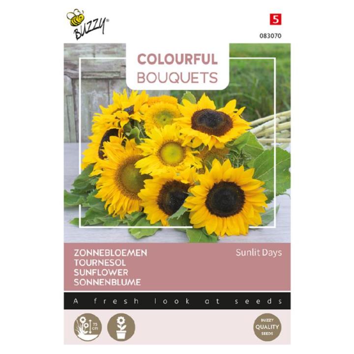 Buzzy® Colourful Bouquets, Sunlit Days Zonnebloem