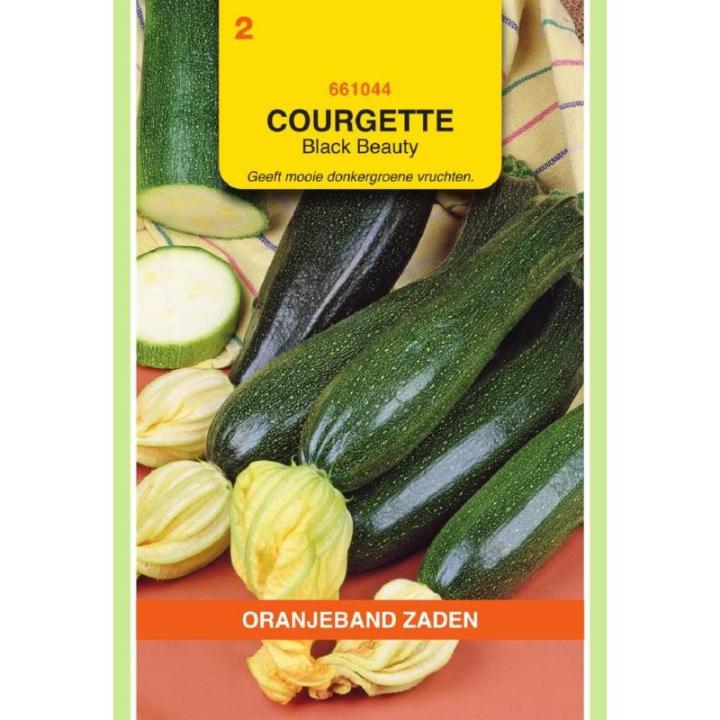 Oranjeband Courgette Black Beauty