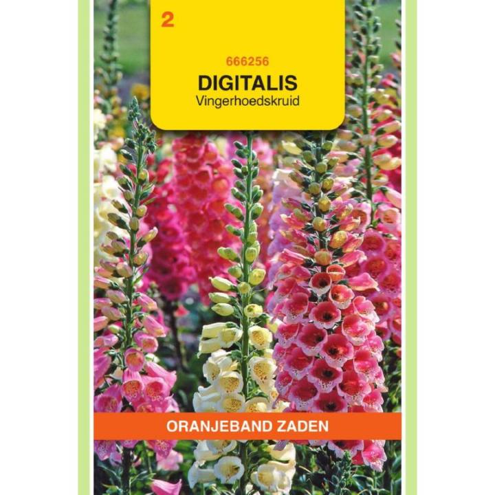 Oranjeband Digitalis, Vingerhoedskruid gemengd