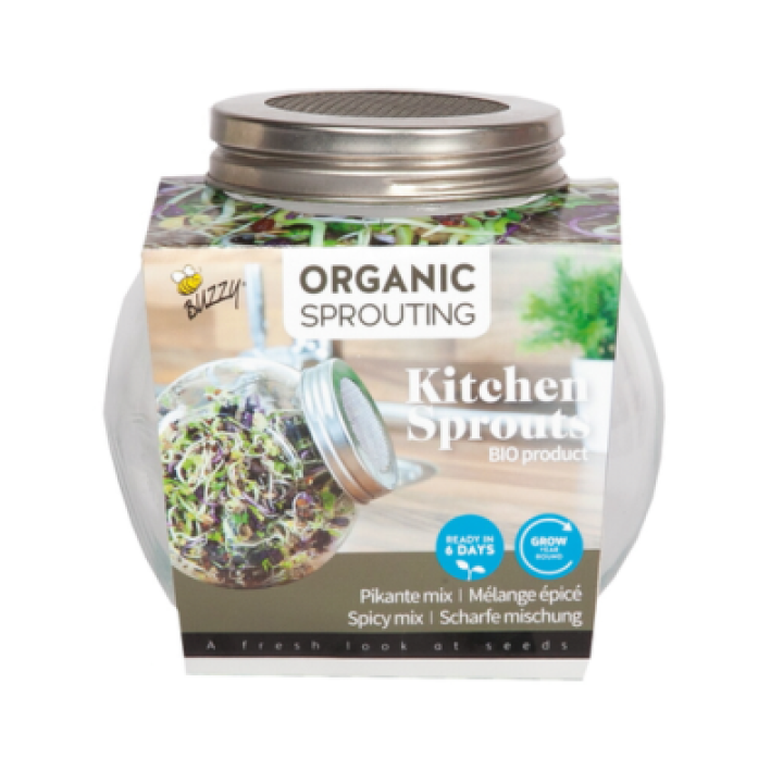 Buzzy® Organic Sprouting Pot - Pikante Mix BIO