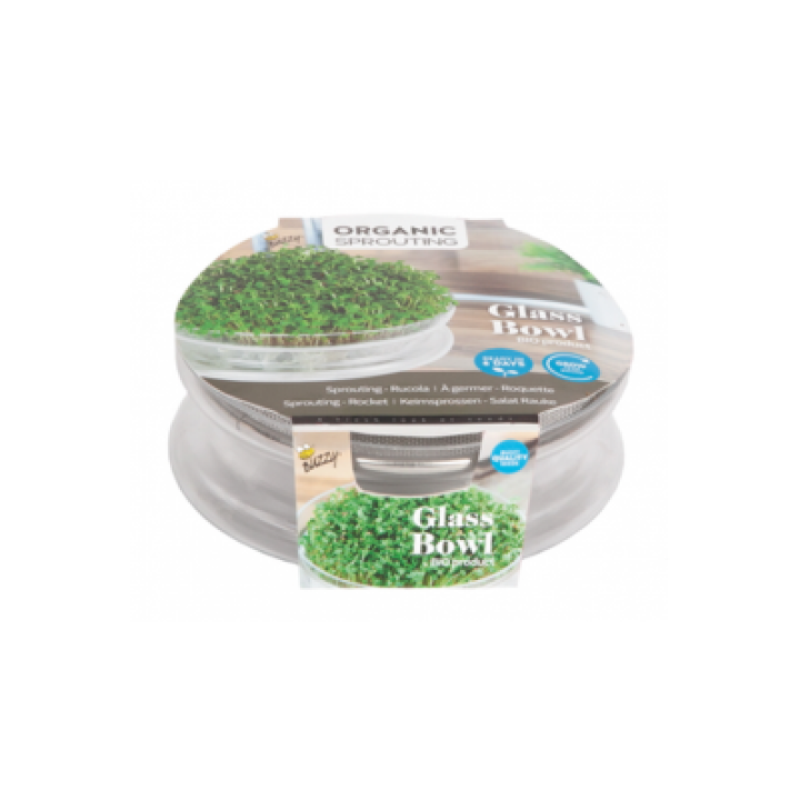 Buzzy® Organic Sprouting Glazen Bowl - Rucola BIO