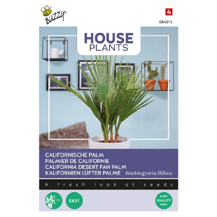 Buzzy® House Plants Californische palm
