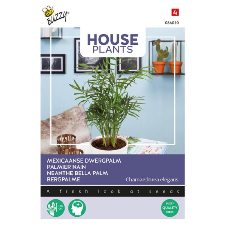 Buzzy House Plants Chamaedorea Mexicaanse Dwergpalm