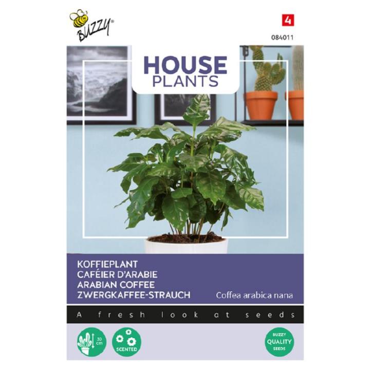 Buzzy® House Plants Coffea Arabica, Koffieplant